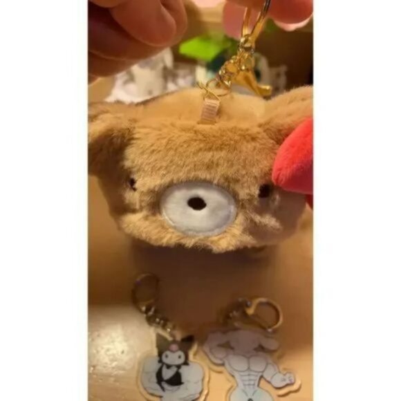 Hello kitty Kawaii MyMelody Plush Brown Teddy Bear Keychain - Picture 2 of 7